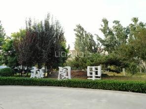 石家庄桃园爆料最新消息,揭秘神秘事件背后的真相