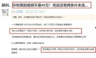 入账师现场爆料视频大全,入账师爆料视频大全精彩瞬间回顾 第1张 入账师现场爆料视频大全,入账师爆料视频大全精彩瞬间回顾 第1张